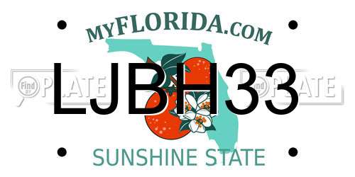 LJBH33 Florida License Plate