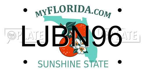 LJBN96 Florida License Plate