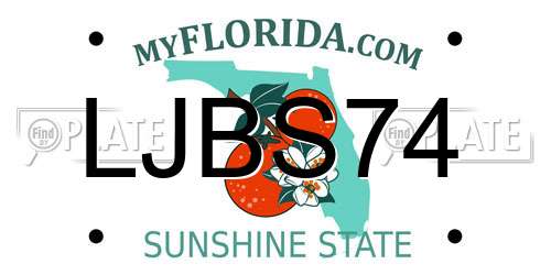 LJBS74 Florida License Plate