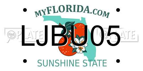 LJBU05 Florida License Plate