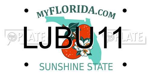 LJBU11 Florida License Plate