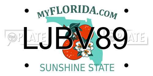 LJBV89 Florida License Plate