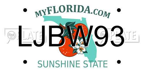 LJBW93 Florida License Plate