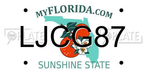 LJCG87 Florida License Plate