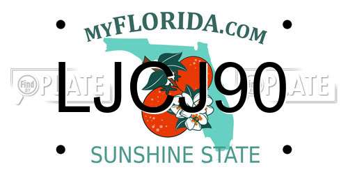 LJCJ90 Florida License Plate