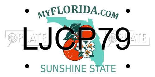 LJCP79 Florida License Plate