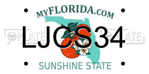 LJCS34 Florida License Plate