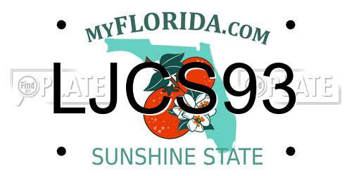 LJCS93 Florida License Plate