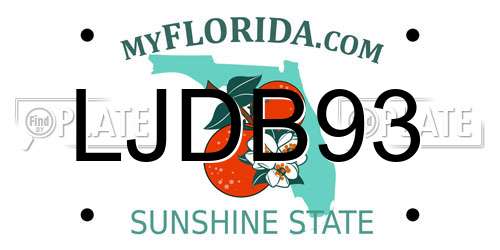 LJDB93 Florida License Plate