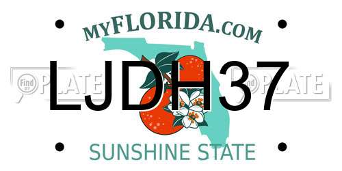 LJDH37 Florida License Plate