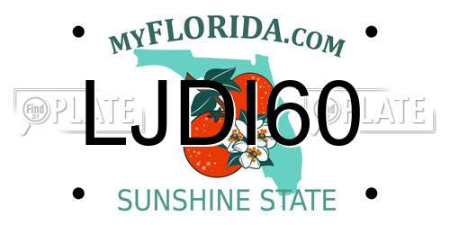 LJDI60 Florida License Plate