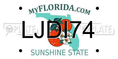 LJDI74 Florida License Plate