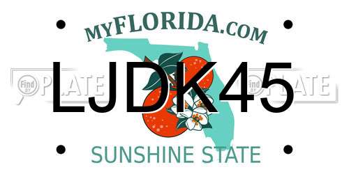 LJDK45 Florida License Plate