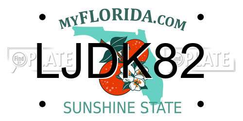 LJDK82 Florida License Plate
