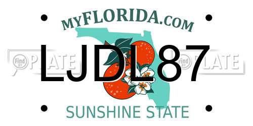 LJDL87 Florida License Plate