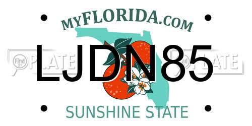 LJDN85 Florida License Plate
