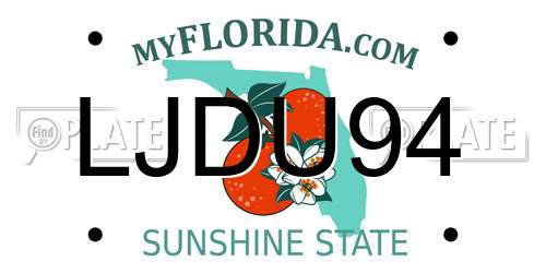 LJDU94 Florida License Plate