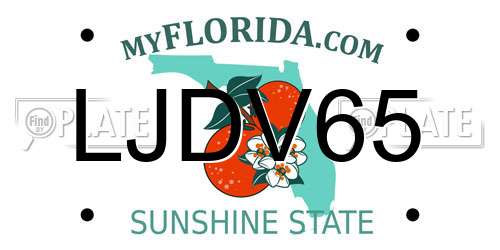 LJDV65 Florida License Plate