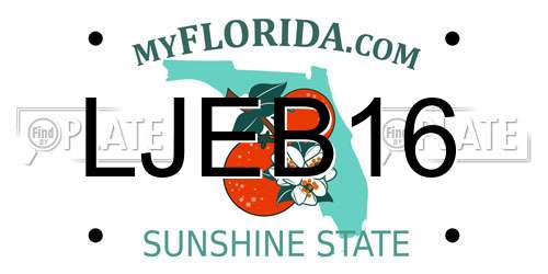 LJEB16 Florida License Plate
