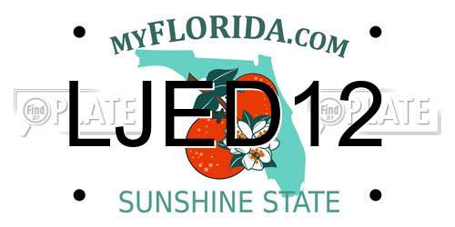 LJED12 Florida License Plate