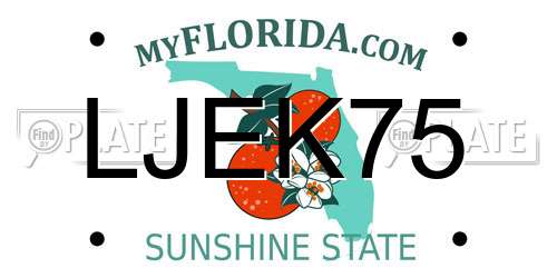 LJEK75 Florida License Plate