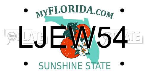 LJEW54 Florida License Plate