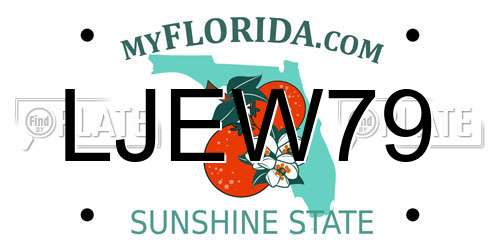 LJEW79 Florida License Plate