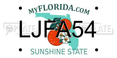LJFA54 Florida License Plate