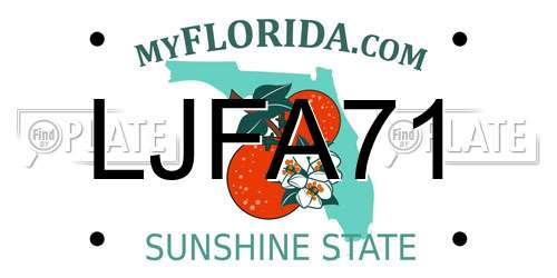 LJFA71 Florida License Plate
