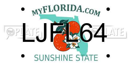 LJFL64 Florida License Plate