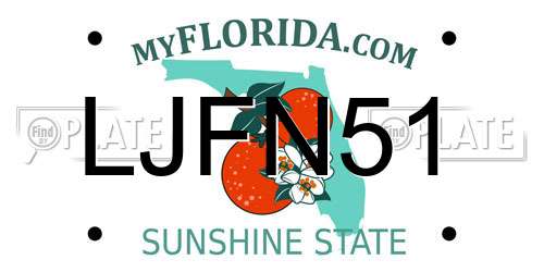 LJFN51 Florida License Plate