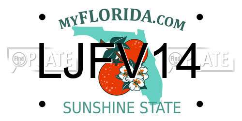 LJFV14 Florida License Plate