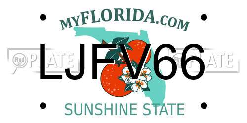 LJFV66 Florida License Plate