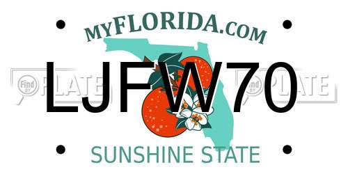 LJFW70 Florida License Plate