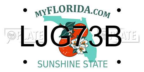 LJG73B Florida License Plate