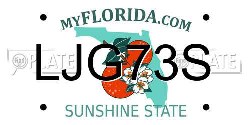 LJG73S Florida License Plate