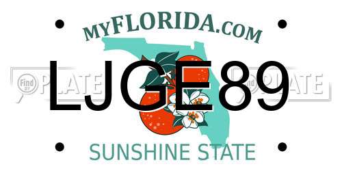 LJGE89 Florida License Plate