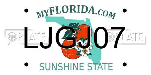 LJGJ07 Florida License Plate