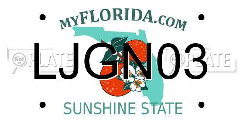LJGN03 Florida License Plate