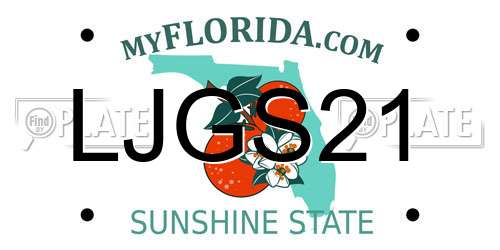 LJGS21 Florida License Plate