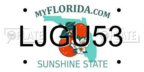 LJGU53 Florida License Plate