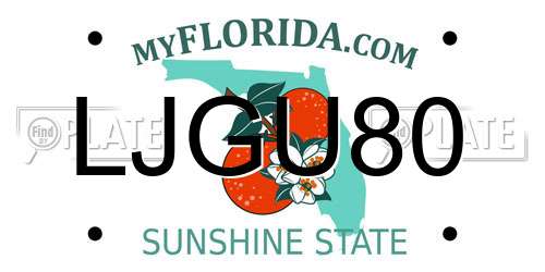 LJGU80 Florida License Plate