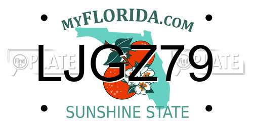 LJGZ79 Florida License Plate