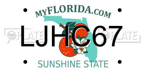 LJHC67 Florida License Plate
