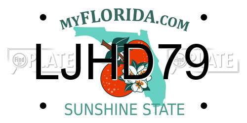 LJHD79 Florida License Plate
