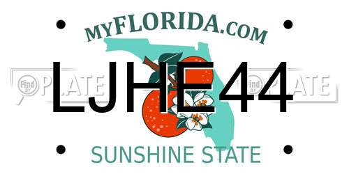 LJHE44 Florida License Plate