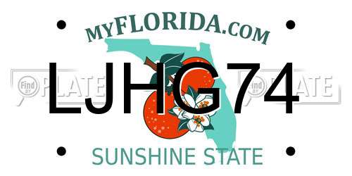 LJHG74 Florida License Plate