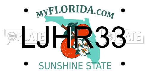 LJHR33 Florida License Plate