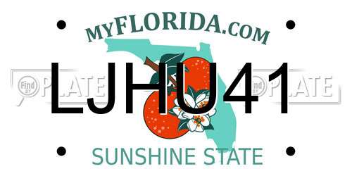 LJHU41 Florida License Plate