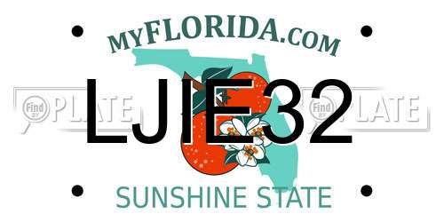 LJIE32 Florida License Plate